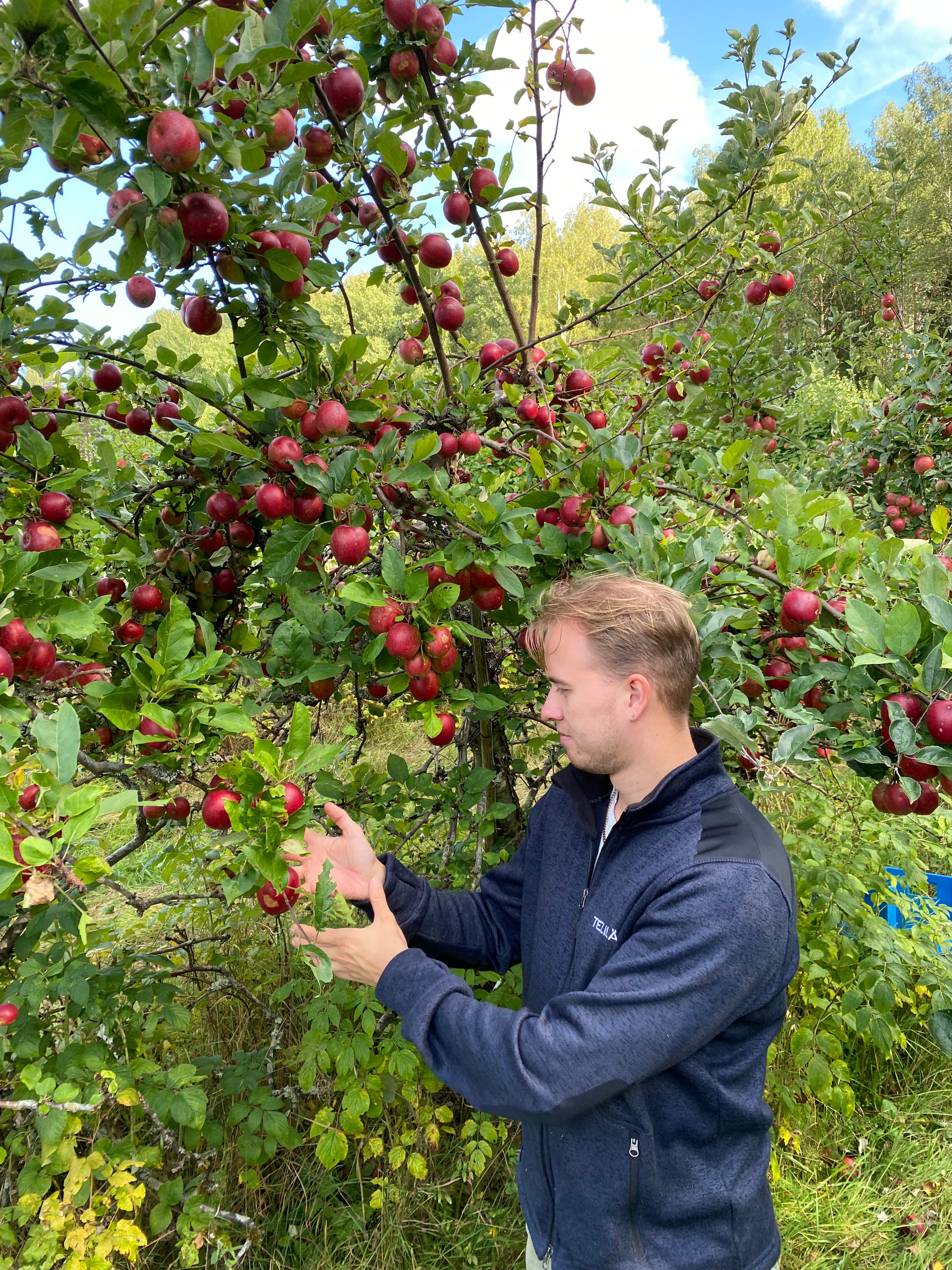 AppleBros rental gallery image 5