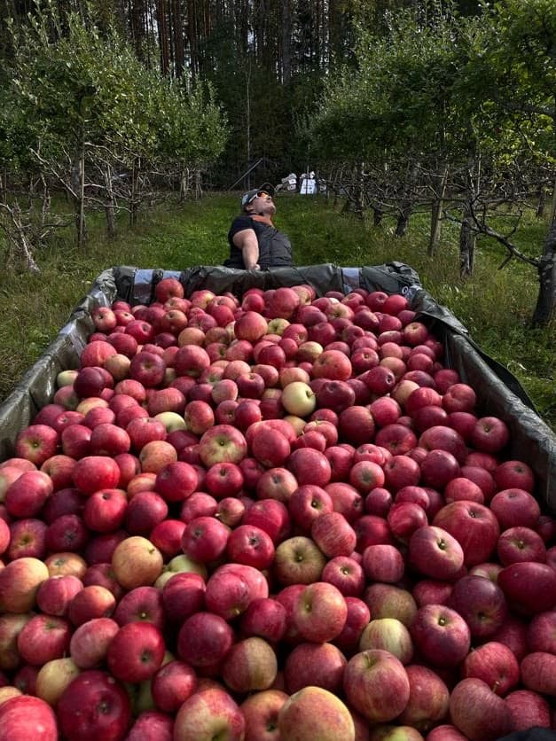 AppleBros expands its operations